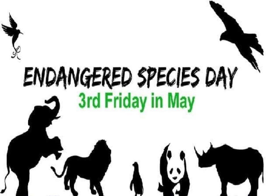 Endangered Species Day 2025 Logo